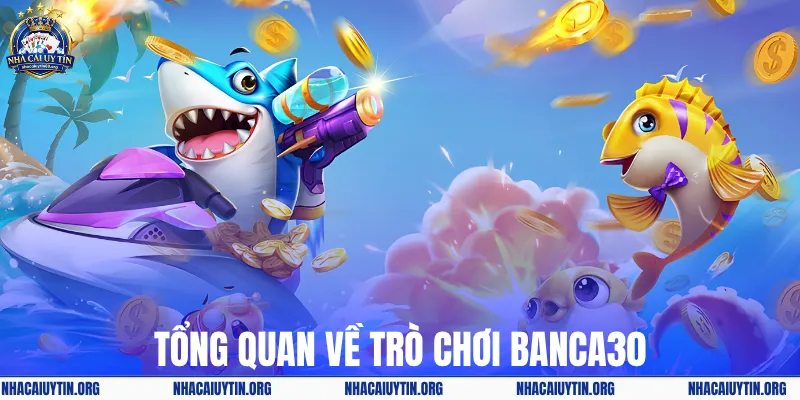 Tổng quan về trò chơi banca30